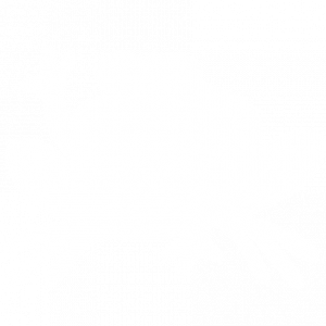 Logo Cavbn bianco